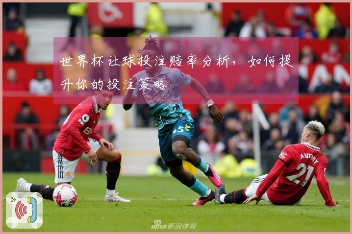 世界杯让球投注赔率分析，如何提升你的投注策略