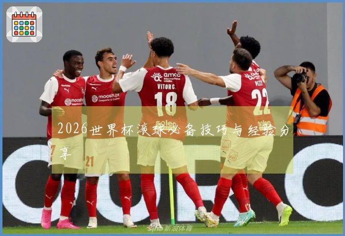 2026世界杯滚球必备技巧与经验分享