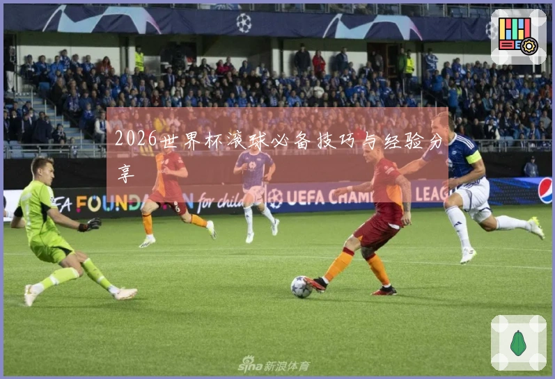 2026世界杯滚球必备技巧与经验分享